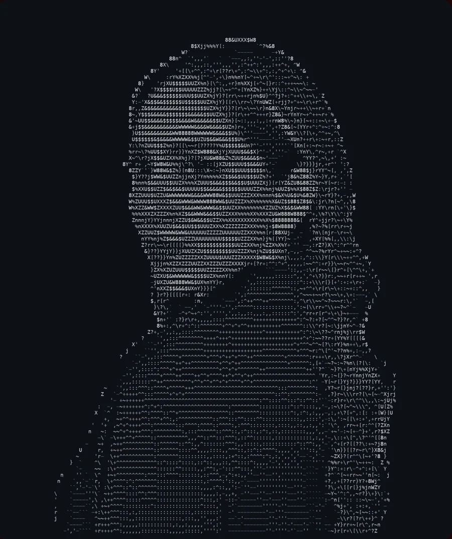 Retrato en arte ASCII de Cecilia Valdez